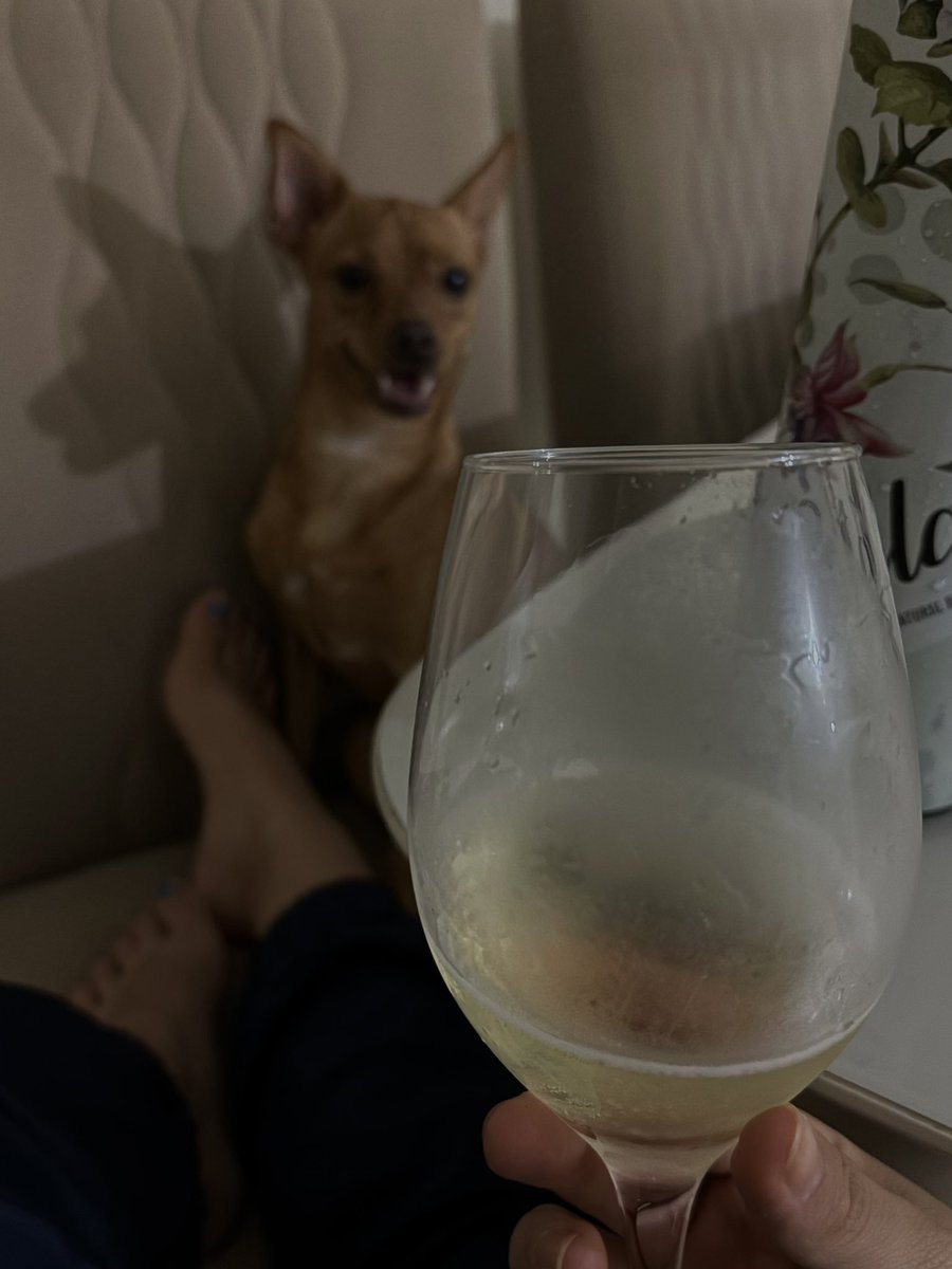 FindomViper's tweet image. 