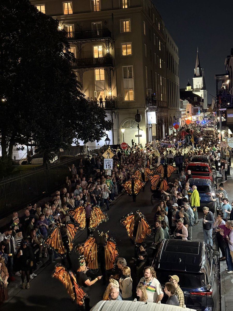 ScotPilie_Wx's tweet photo. Monarchs taking flight on Chartres for the Krewe of Joan of Arc Parade to kickoff carnival season🦋 https://t.co/jVt7NAtfRz