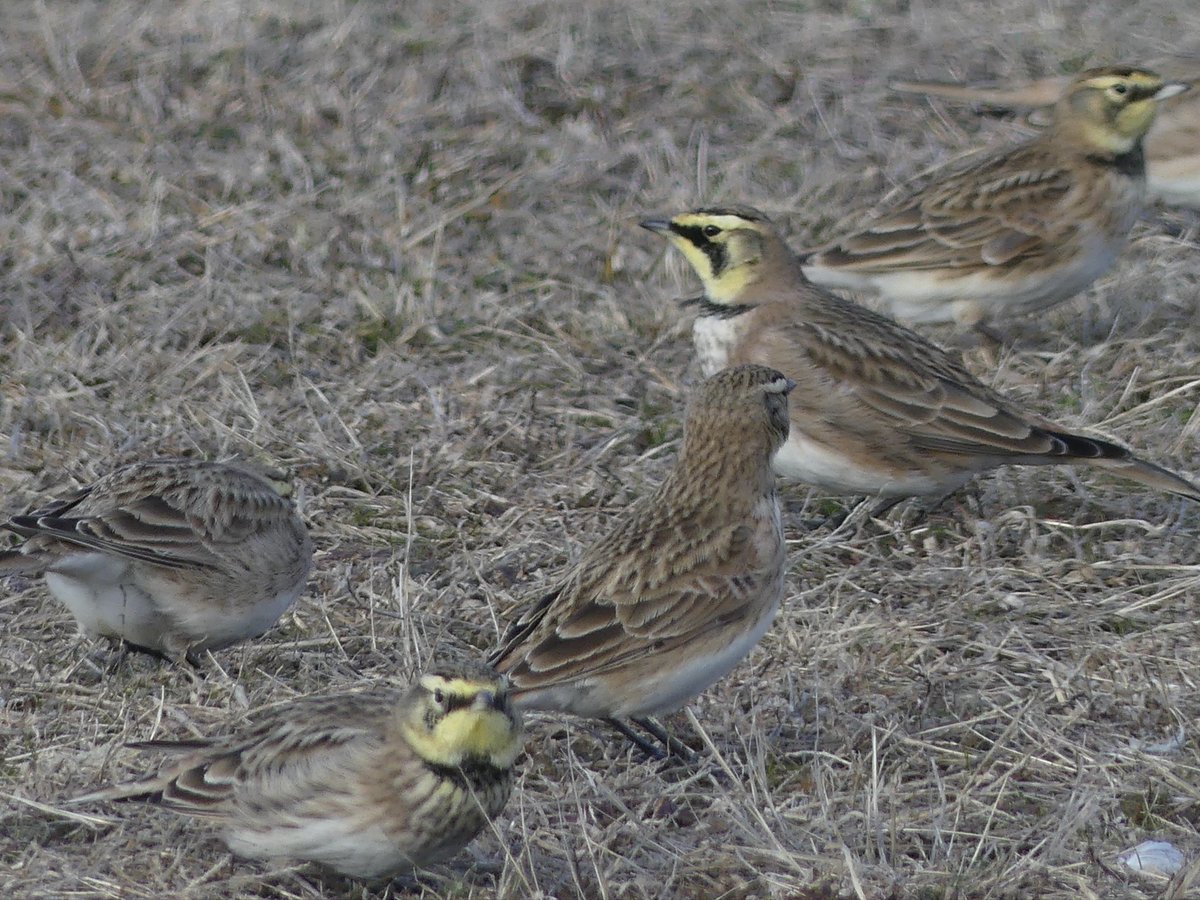 Debora Toth tweet media