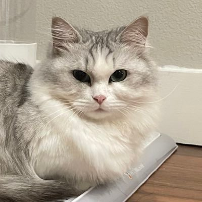 Have you met....our Co-founder Nathan <a href="/nathan_sj_stem/">Nathan</a>?

Ex-Stanford computational physics researcher; 
Security auditor of 400 projects; 
AI math agent builder with 600k users. 

Now building the intelligent OS for autonomous finance with built-in security and privacy at Vishwa