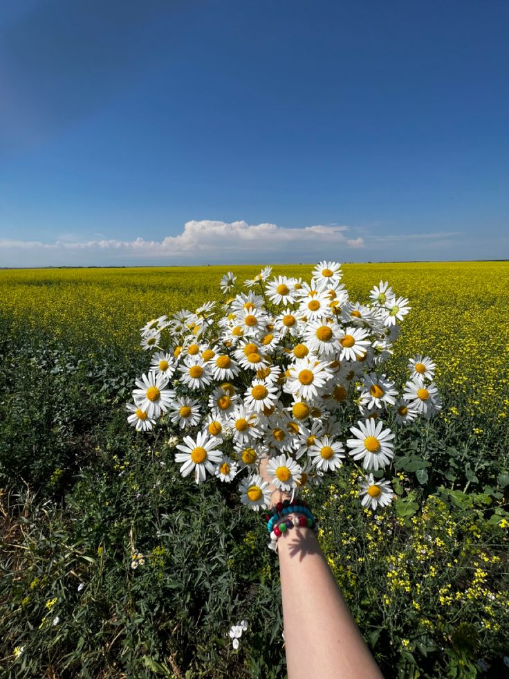 ᅠ ᅠ (@greendreaams) on Twitter photo 