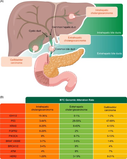 HEPATOLOGY Journal tweet media