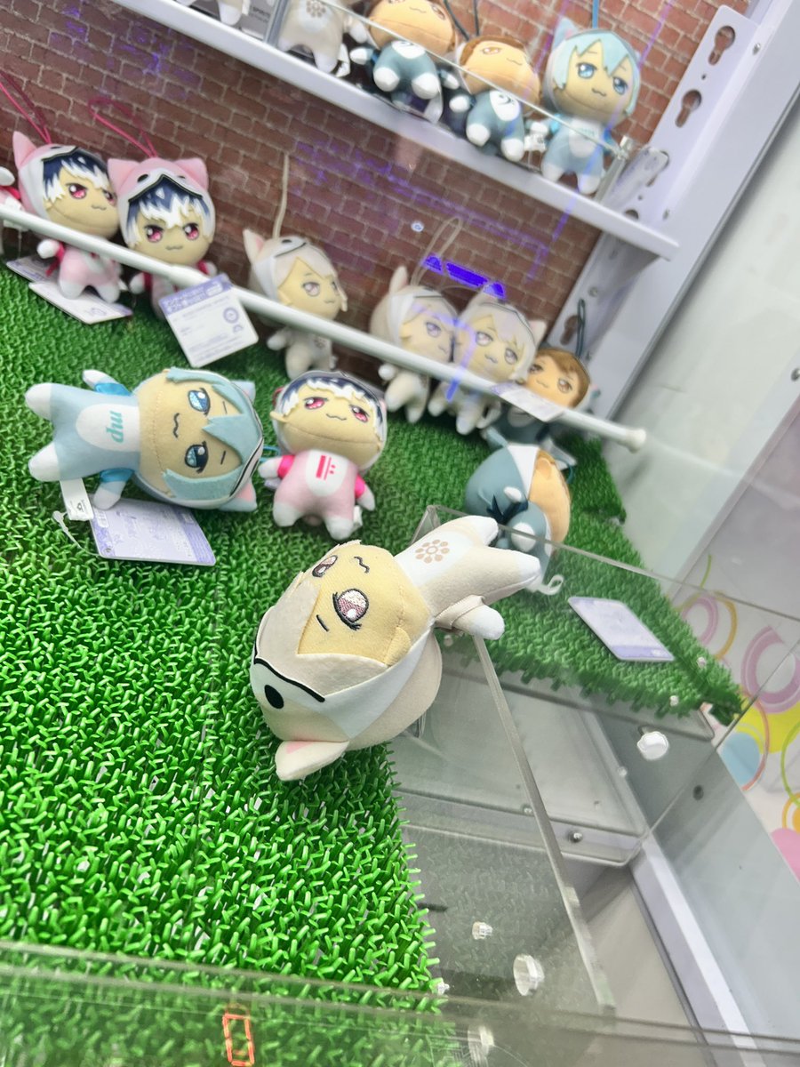 tsg_17's tweet photo. ことしも (もうちょいたくさん）おでかけしましょう
（あけおめ） https://t.co/ExLfvvtA72