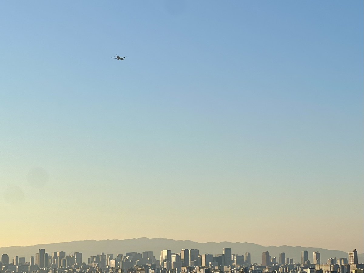 tabimoru's tweet photo. ANA スターウォーズ(C-3PO)ジェット✈️
NH766 OKA（沖縄・那覇） - ITM（大阪・伊丹）

会社から見れました（一応見たことは見た。笑） https://t.co/YGmnRcB3Ri