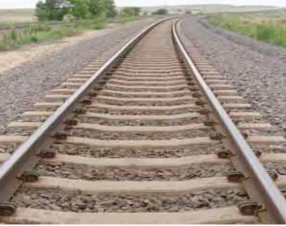 DeshbandhuMp's tweet image. deshbandhump.com/post/mp-rail-p…
एमपी रेल प्रोजेक्ट: राजस्व भूमि के 277 पेड़ों पर चलेगी कुल्हाड़ी, निजी और सागौन के पेड़ों को काटने पर रोक
#Indore #Budhni #railline #Sanwerland #treetransplant #RailwayProject @wc_railway  @MP_MyGov