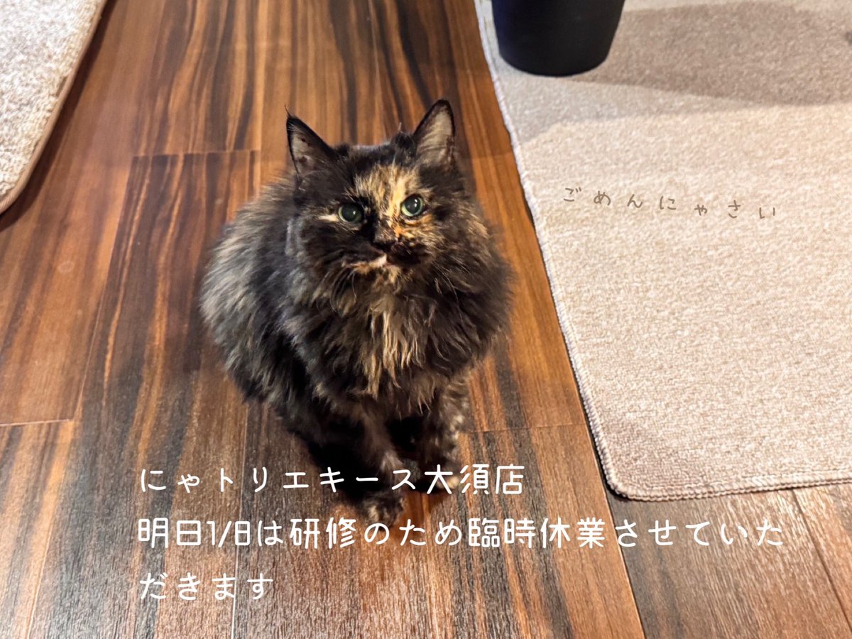 アトリエキース tweet media