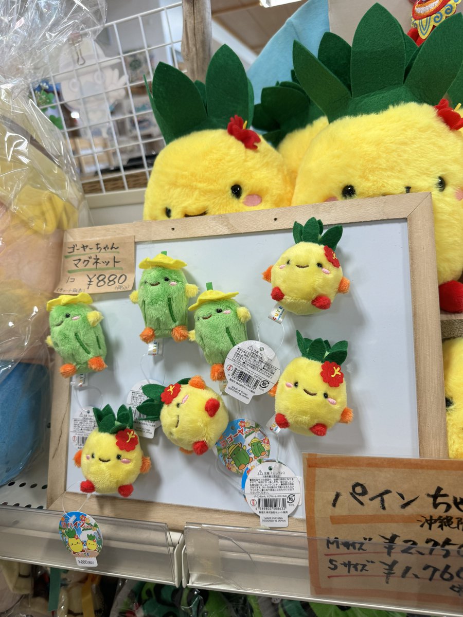 これ、実はゴーヤちゃんもいてすっごく可愛いので見て欲しいです……！！
この写真は2024年8月頃のお写真ですが！！！
そしてマグネット！