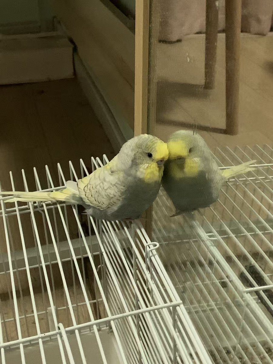 Gamirror Games tweet media