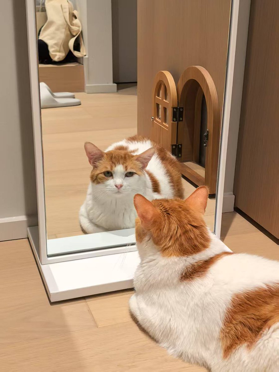 Gamirror Games tweet media