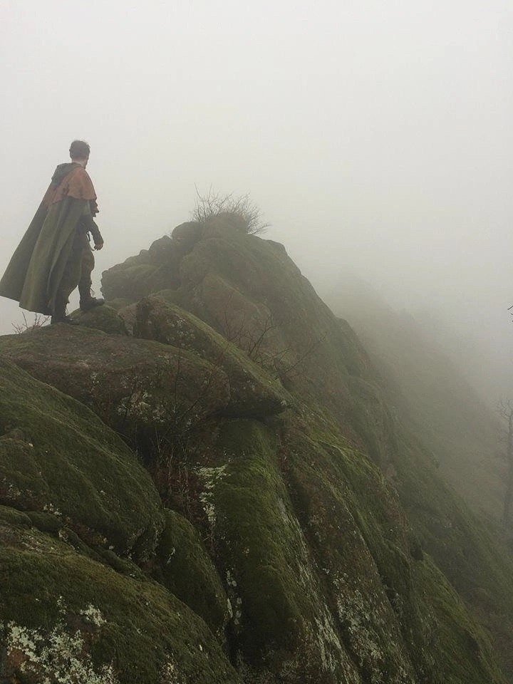 opticoded's tweet image. All of nature begins to whisper its secrets to us through its sounds