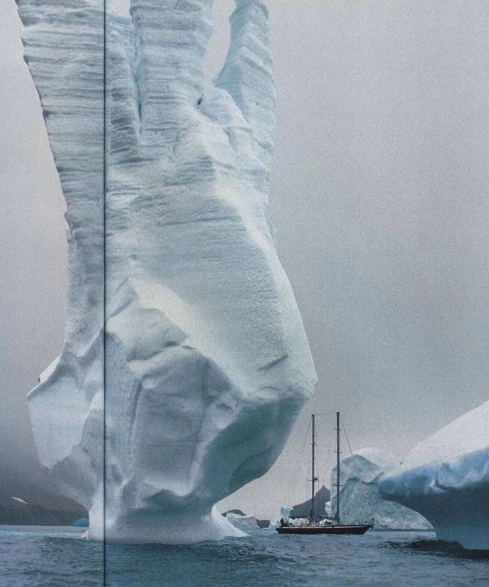 opticoded's tweet image. All of nature begins to whisper its secrets to us through its sounds