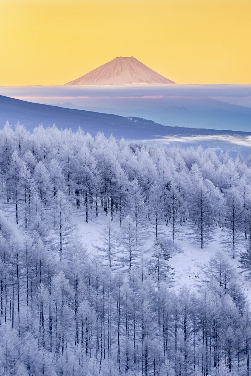 Yuya.M (@yuyar33) / Posts / X