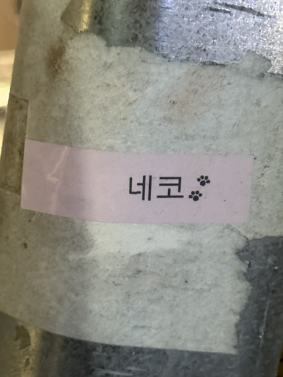 oconih's tweet image. 