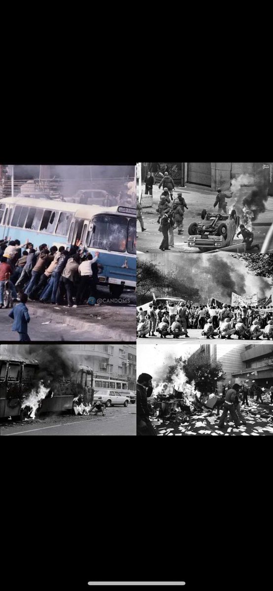 Shabriri Grape tweet media