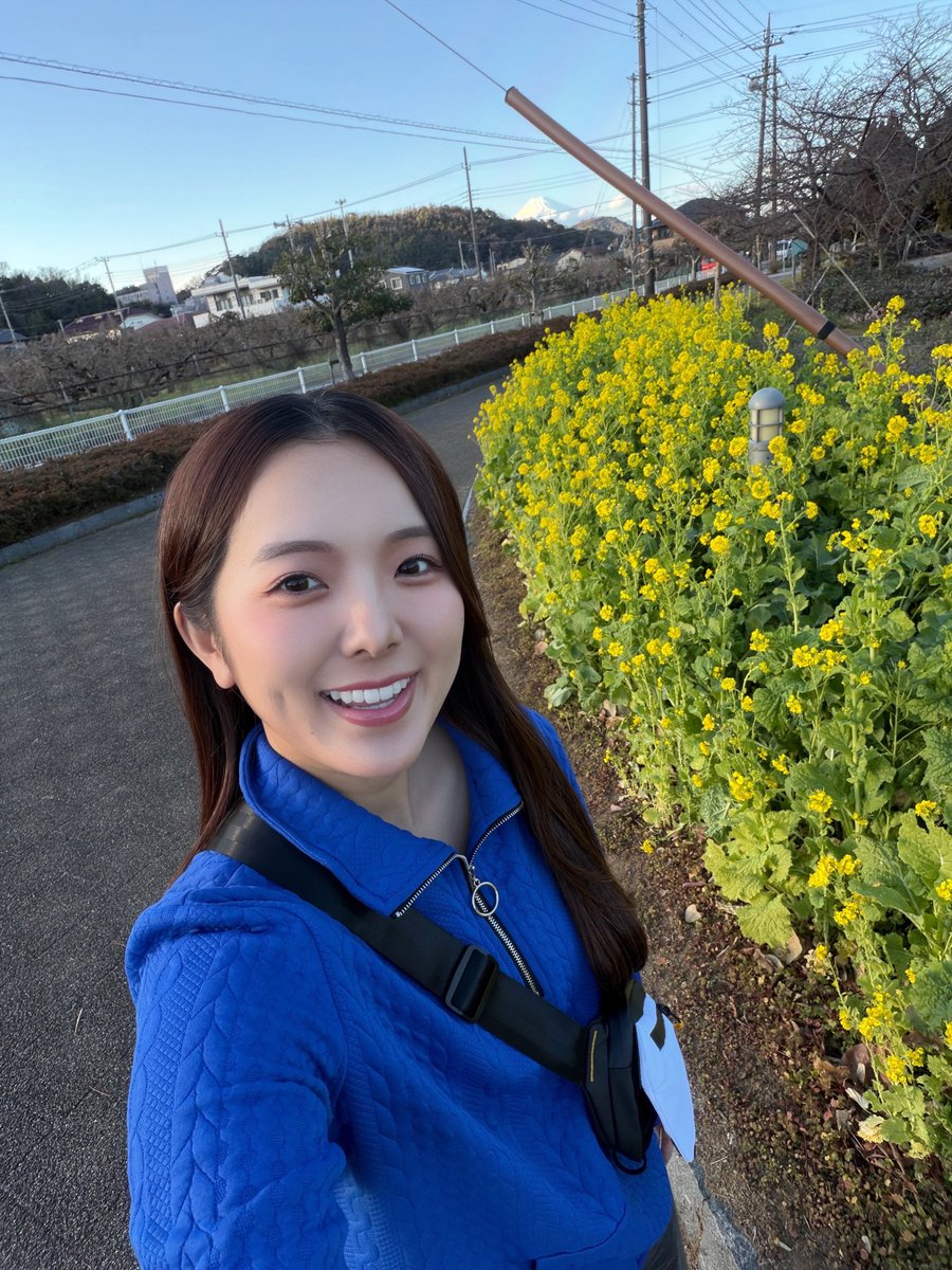 ⚠️せんちゃん専用 ZX12R self-introduction] Kikushin Channel issue Customization and