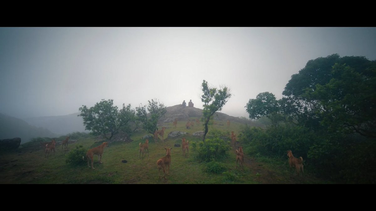 prakhar441's tweet image. Watched #Eko 💯 A well made mystery thriller, kept me hooked from beginning to end. Brilliant movie setting and cinematography 🙌 Really need to visit Kerala one day