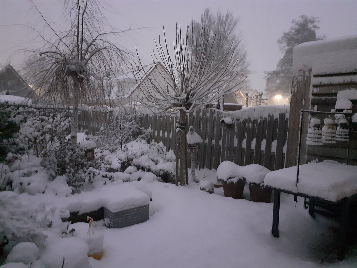 Ellenv_H's tweet image. Wondere witte wereld❄
Het stapel witte goedje wordt steeds hoger❄
Goedemorgen allemaal🙋🏻‍♀️