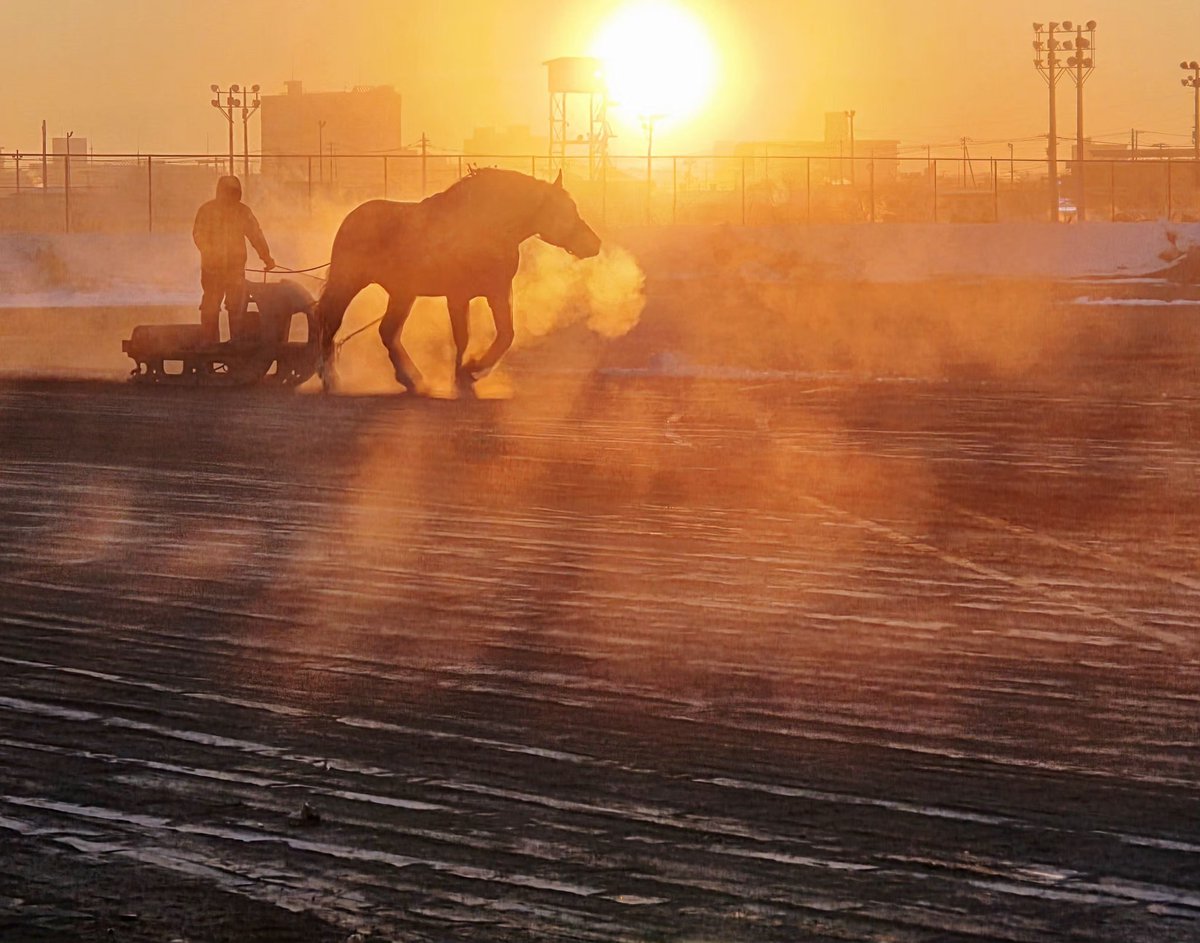 ひでっち (@Ghana1005) / Posts / X