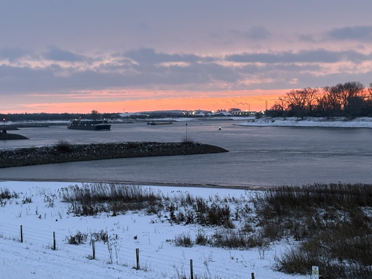 Frank van der Wal tweet media