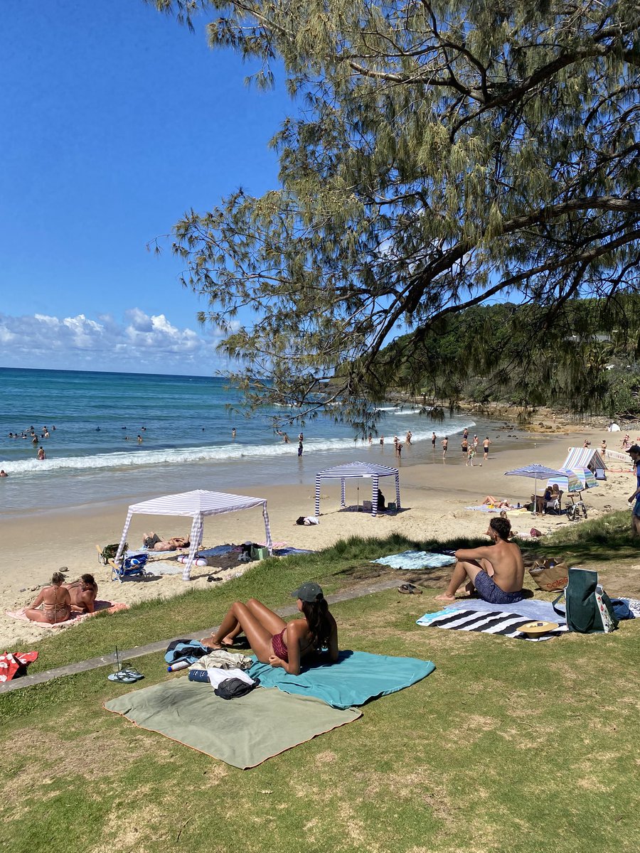 Gm $REKT fam 

Australian summer is the best. Wategos beach is so gorgeous. Love this area between Brisbane and Ballina.

SP500 made a new ATH and gold and silver are also just below ATH’s. Crypto will catch up soon when the rotation starts.

This is gonna be a HUGE year guys!