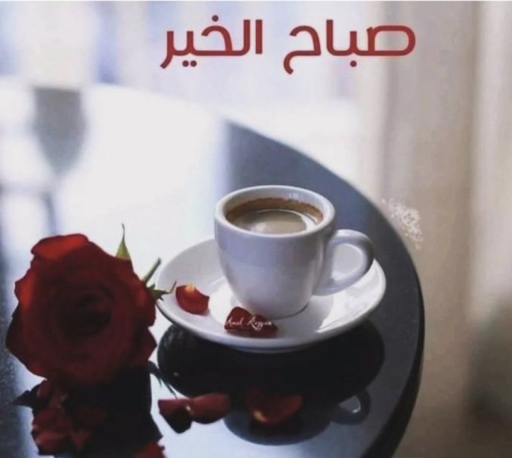 ToTo (@7ltoth) on Twitter photo 