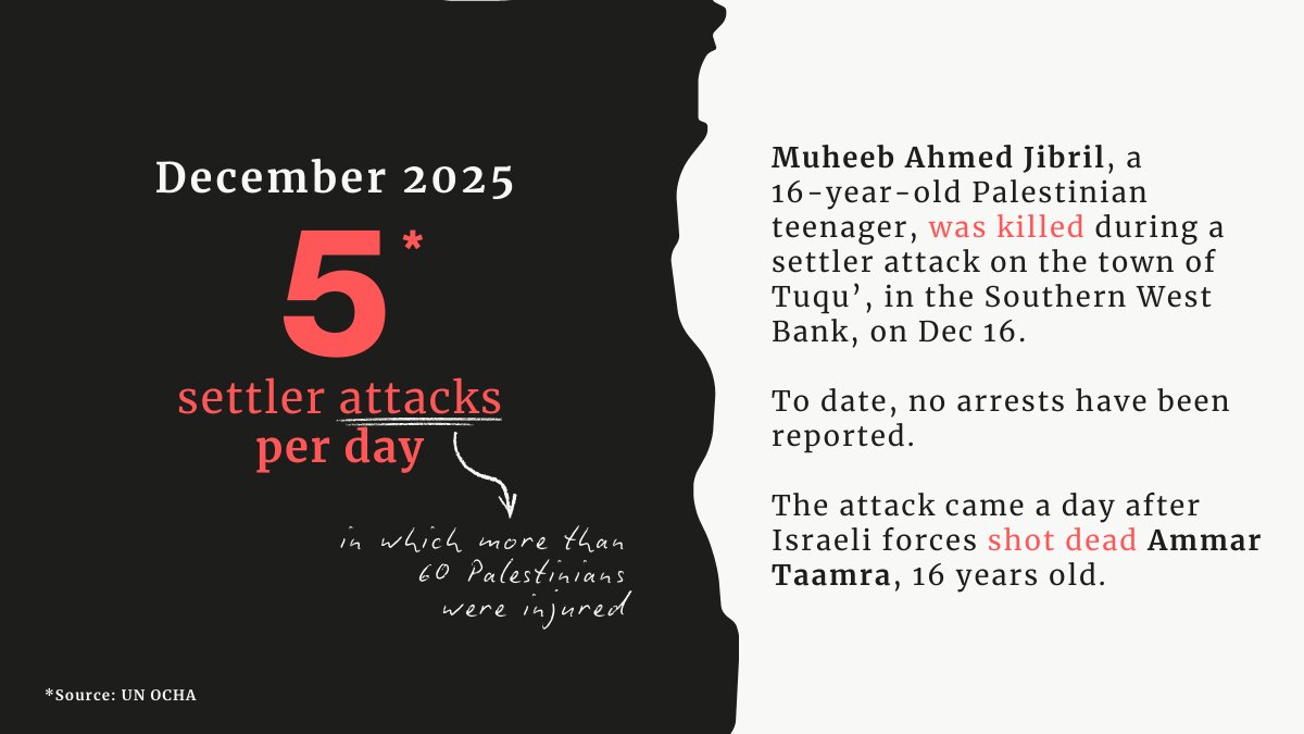 Combatants for Peace tweet media