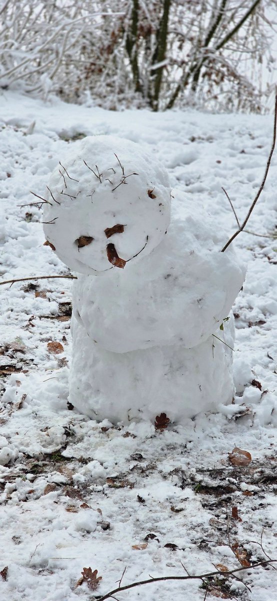 Ugliness is just a failure of seeing 🥰
#sneeuw ☃️❄️