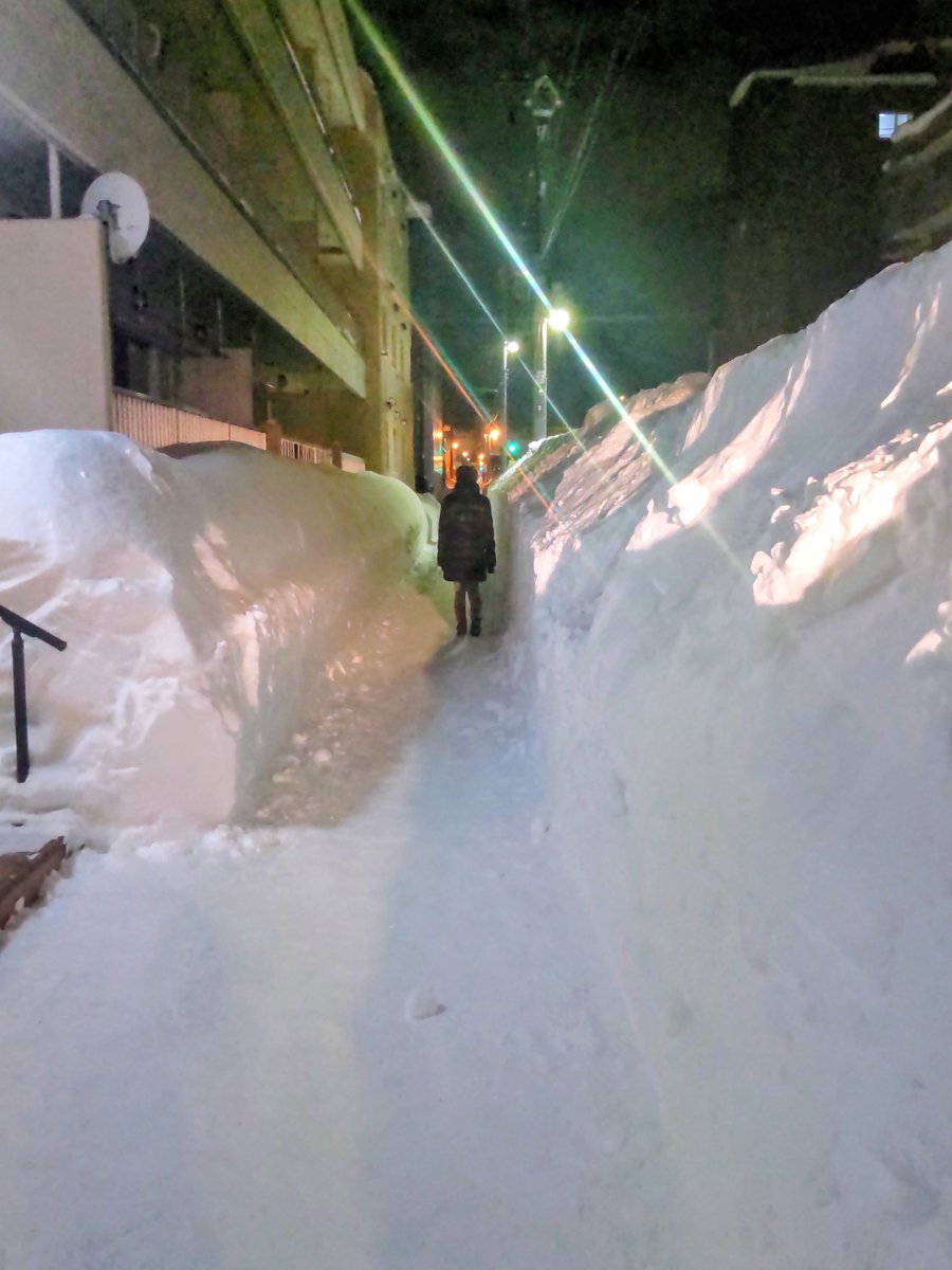 たぬき|CAD素材.com tweet media