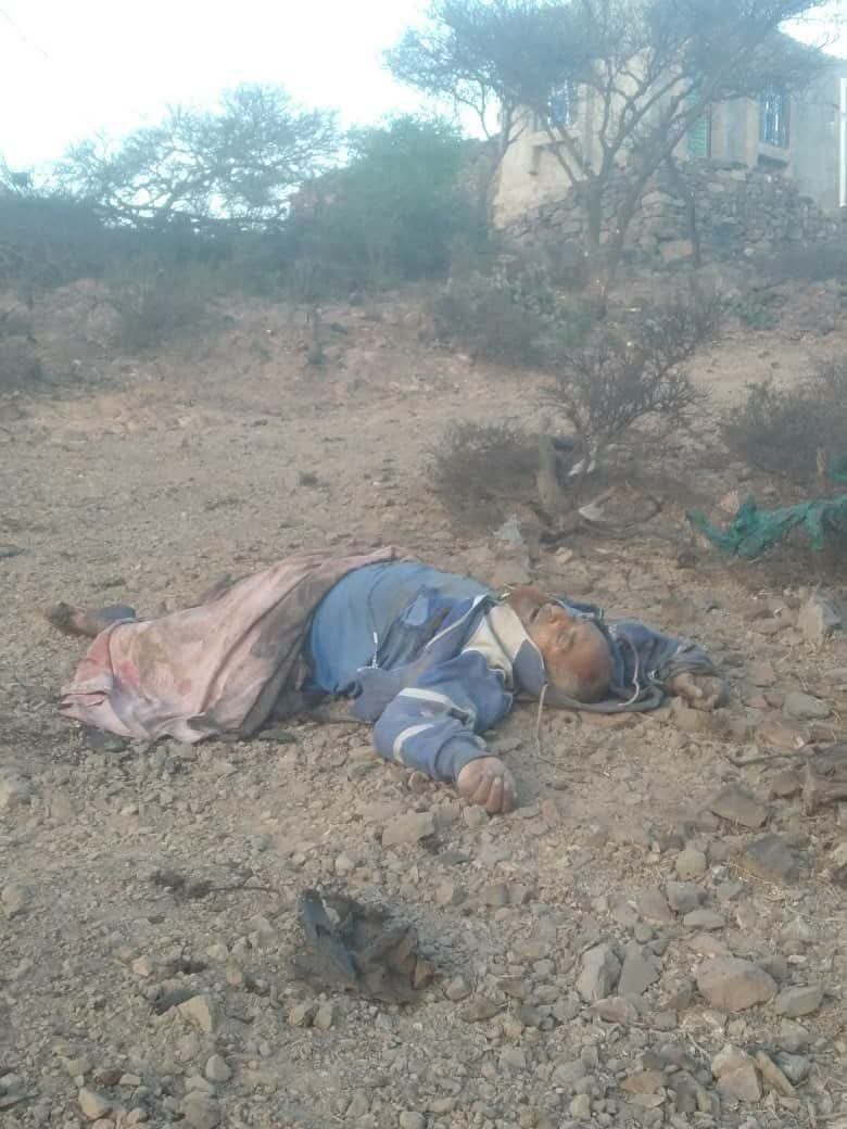 صالح العبيدي tweet media