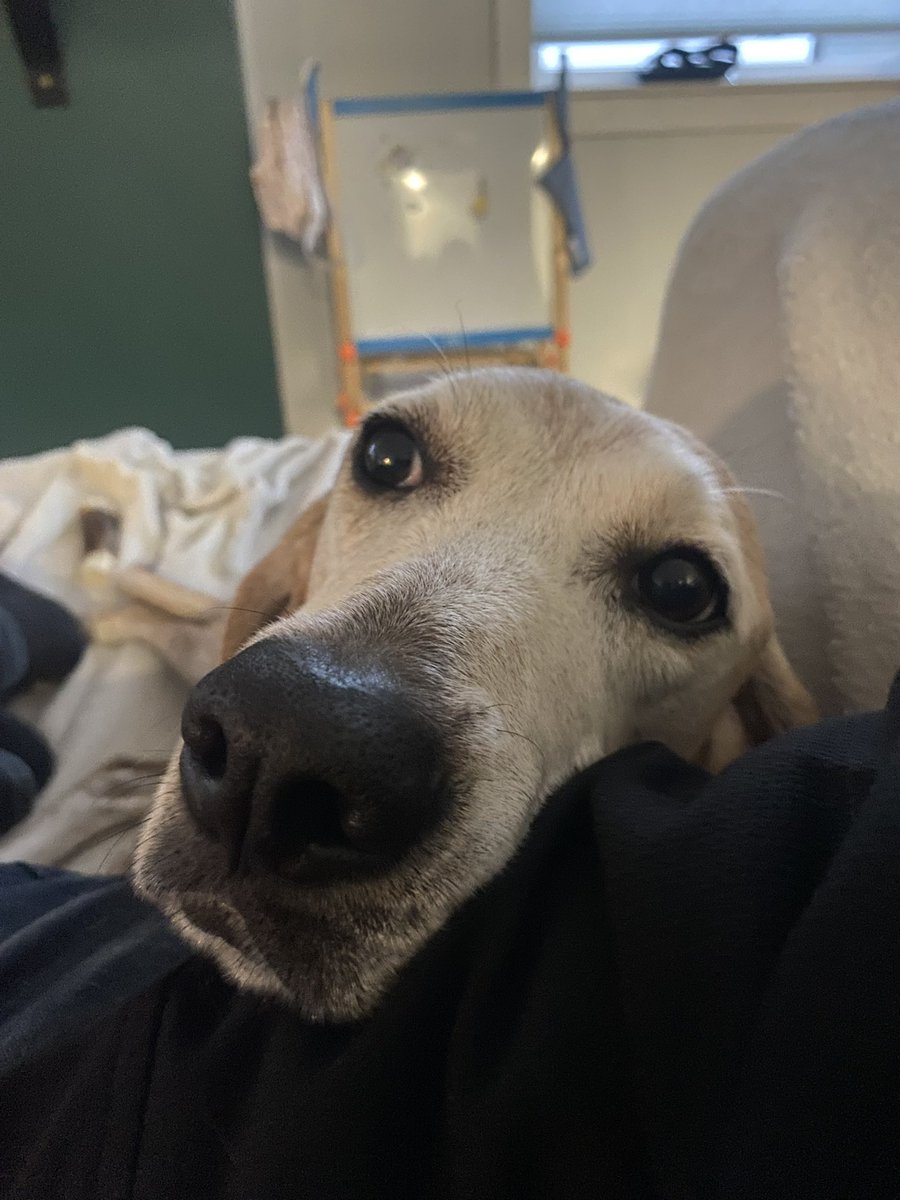 Good night my sweet princes and princesses