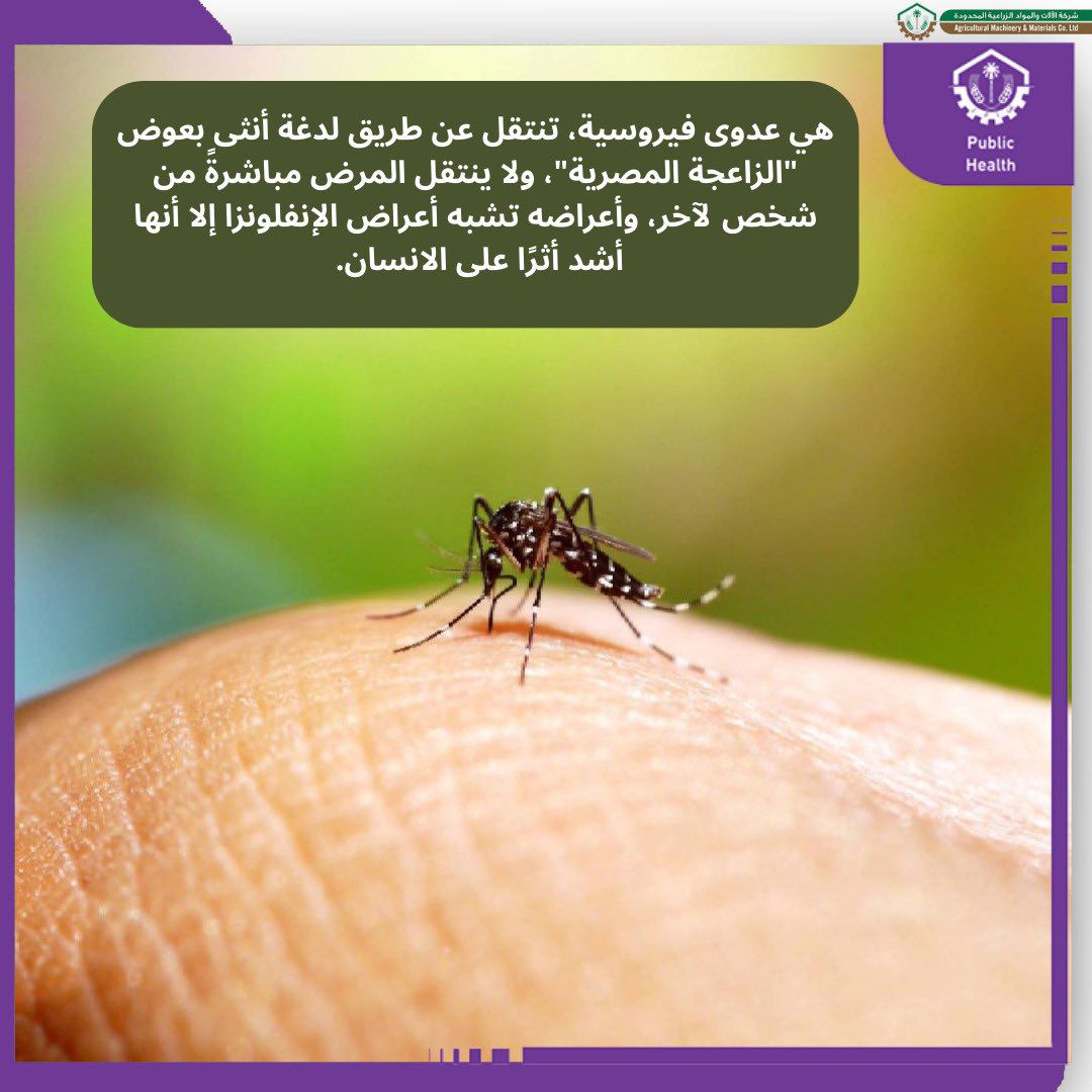 AMMC Agriculture - شركة الآلات والمواد الزراعية tweet media