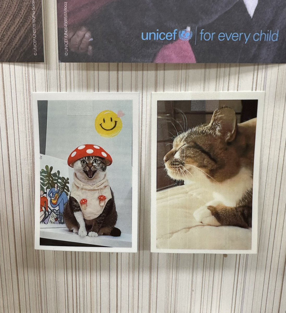 진짜 이 이쁜뚱이…. 조금이라도  탐나시는분 없는걸가여😢