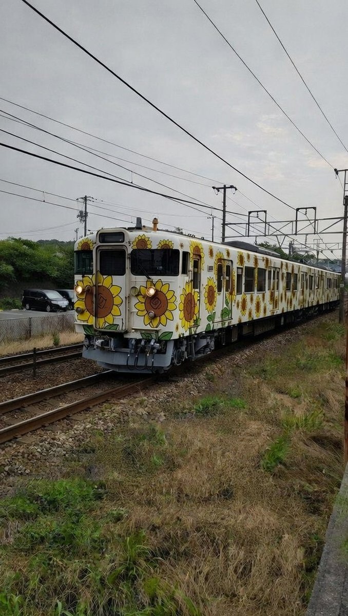 ひまわり⭐︎ Amazon.co.jp: ひまわり: ミュージック