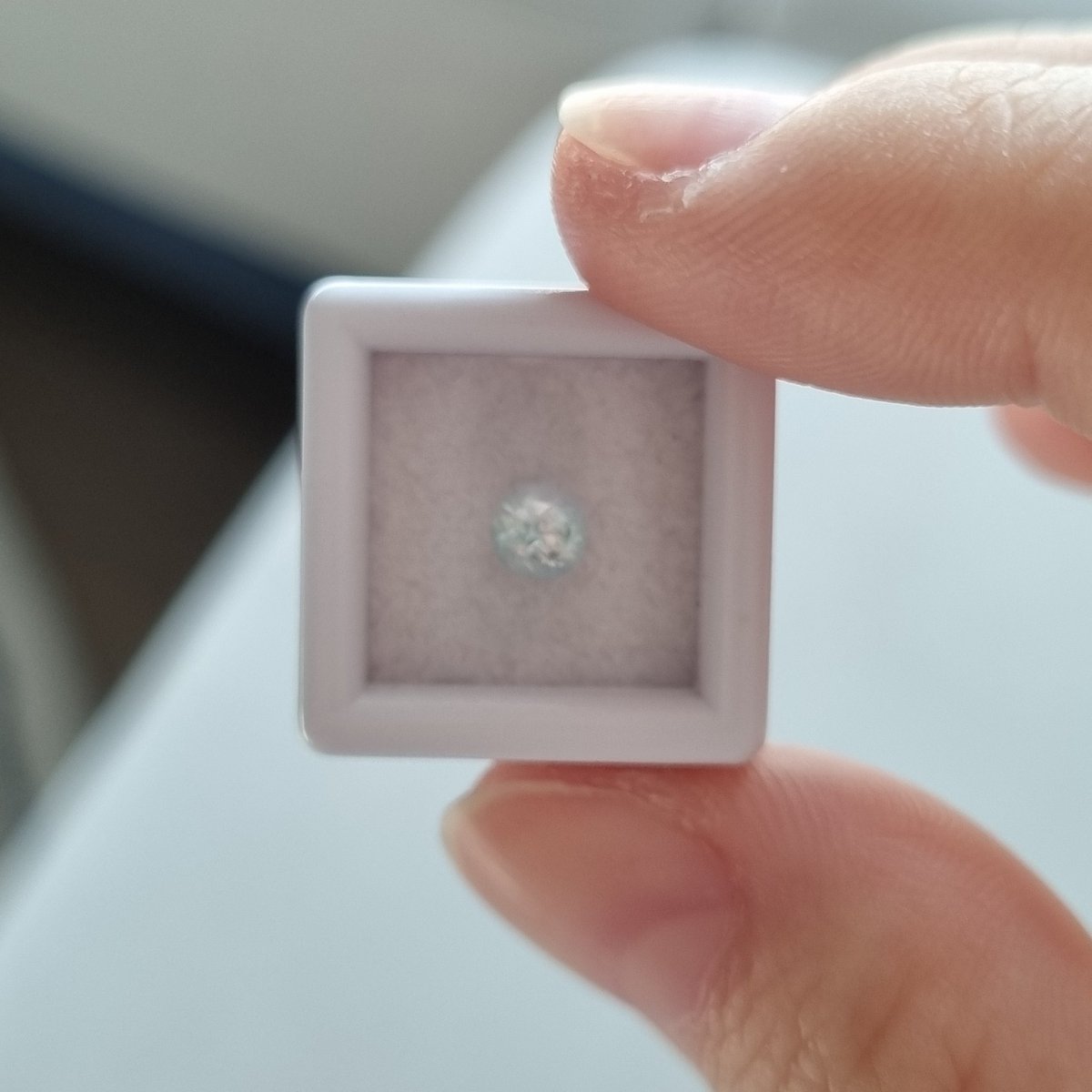 이거 종류 뭔지 맞춰보실분