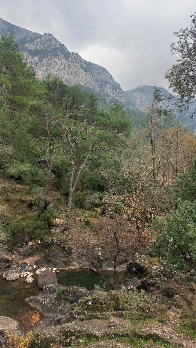 AT016's tweet photo. En büyük cahil cehaletle savaşında kazanabileceğini düşünendir. Hayat biter anılar yok olur tabiat kalıcıdır. https://t.co/An1qyvGByr