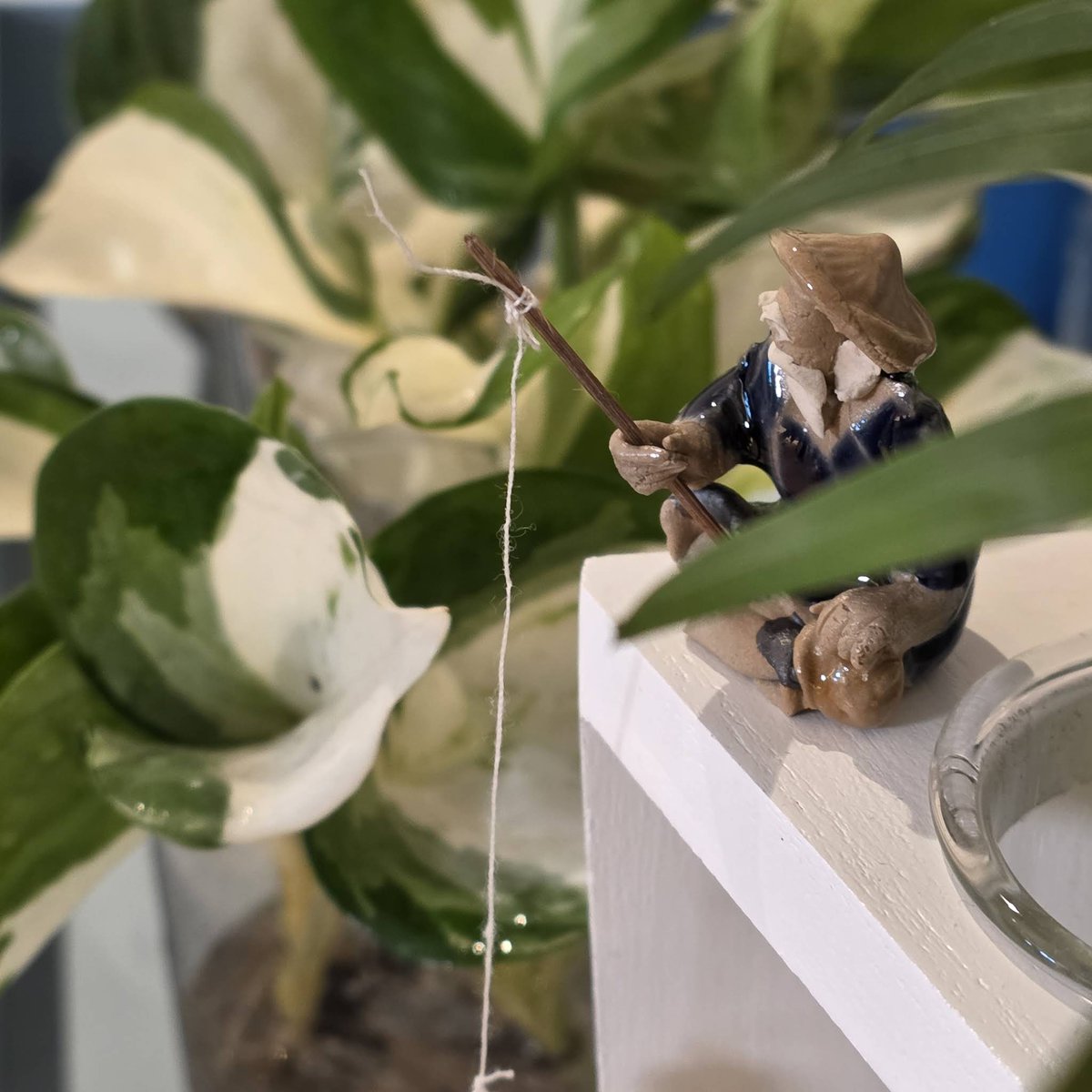 carpediemk1219d's tweet image. 260107 #도운 윤도운도윤

어 다름아니고 제 채널이 이래 활성화되니까 어색하죠? 저도 좀 그런데 여러분은 어떻겠어요.
아무쪼록 자주 놀러올게.
지금 보여주는 아이는 새로 업어왔어. 너네들 뭘 좋아할지 몰라서 배색이 첨가된 스킨답서스로 데려왔어. 흰색을 곁들인..