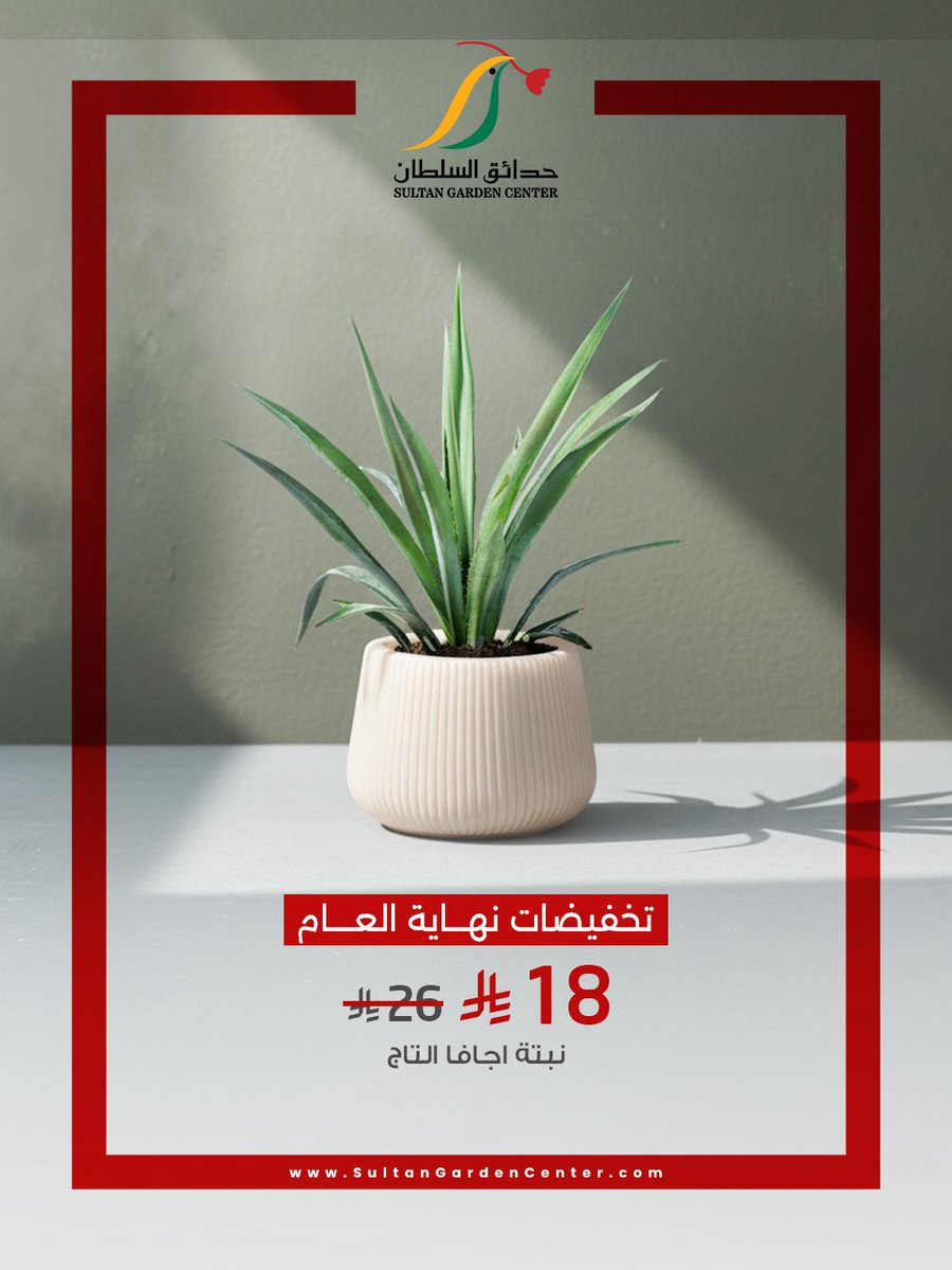 نبتة اجافا التاج 🌿

#حدائق_السلطان #تخفيضات #نهاية_العام 
#نباتات