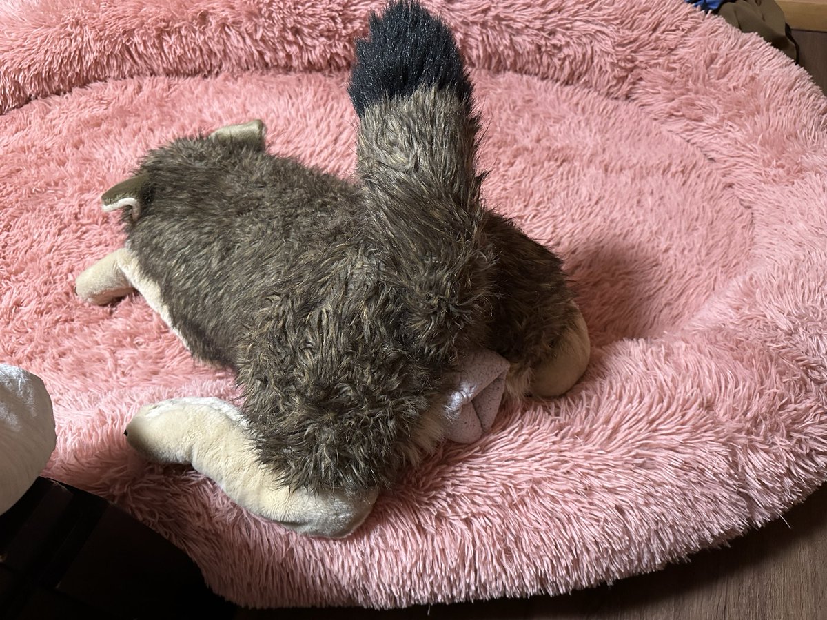 Staying in a friend’s guest room and was instructed to leave a big load of pups in this wolf plushie. Didn’t have to tell me twice ;3