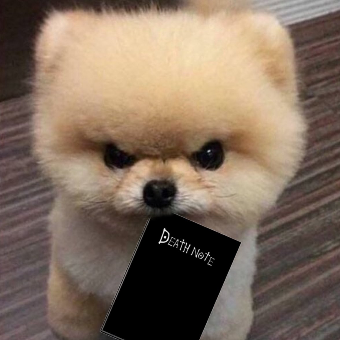 xckyucx's tweet image. 규현이
                                                               규현이