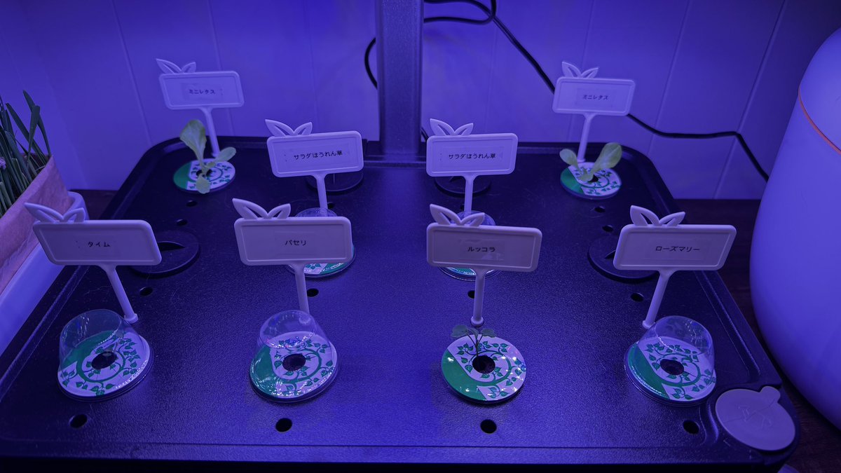 ちーさま (@ouchikaeru1234) / Posts / X