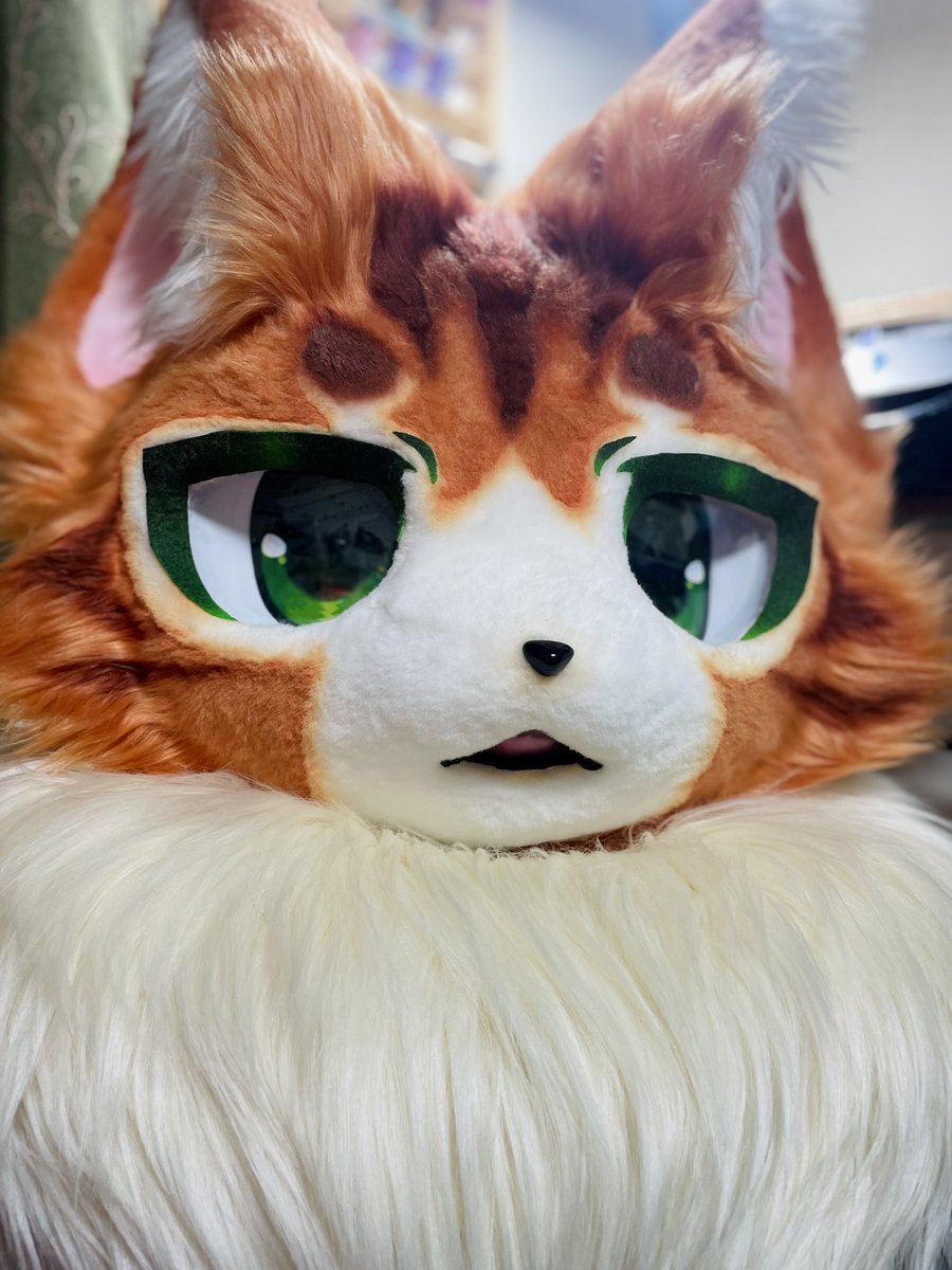 めちゃんこ可愛い子生まれた✨
後ほど宣伝ポストします！
 #jmof2026