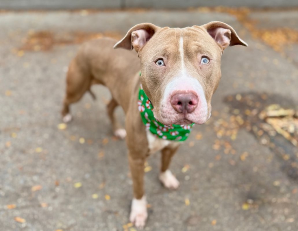 notthesameone2's tweet image. 2-y/o Teddy: