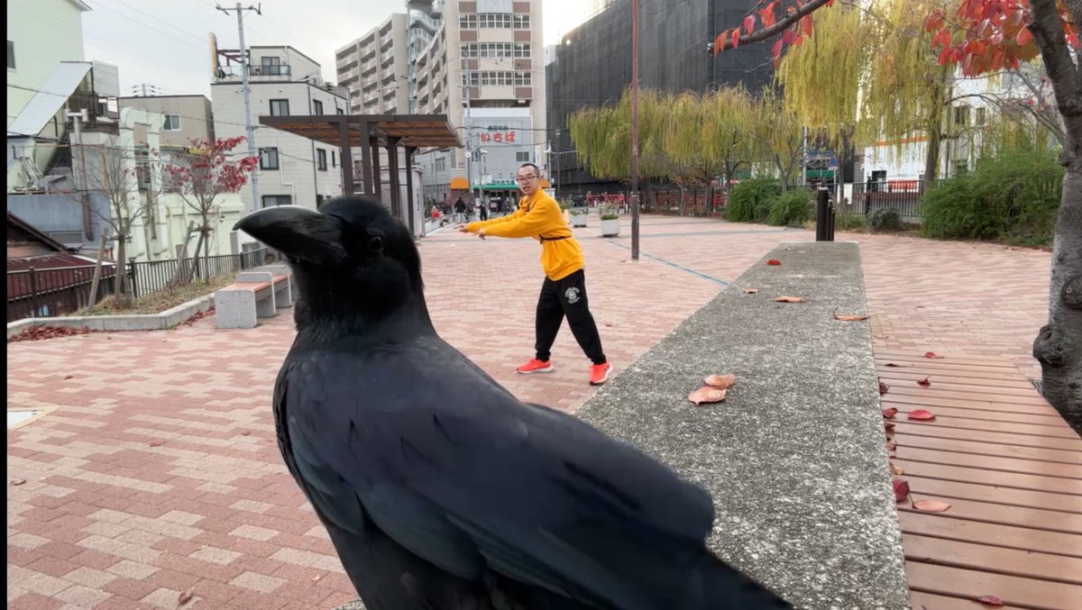 おっはよー！！14時前くらいから神戸カイ散歩するー！！
