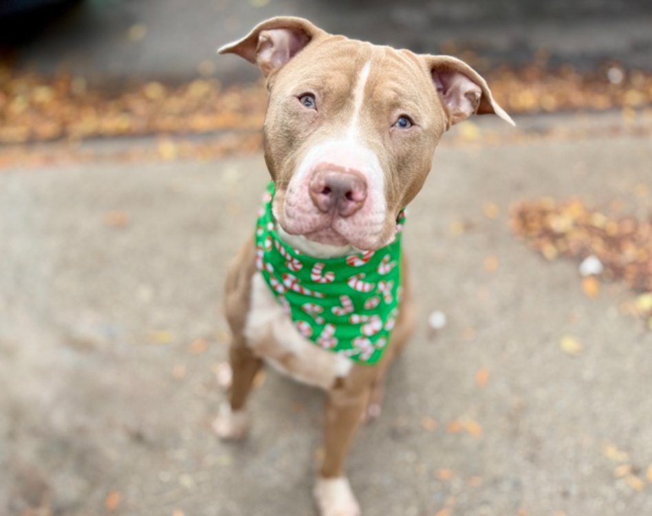 notthesameone2's tweet image. 2-y/o Teddy: