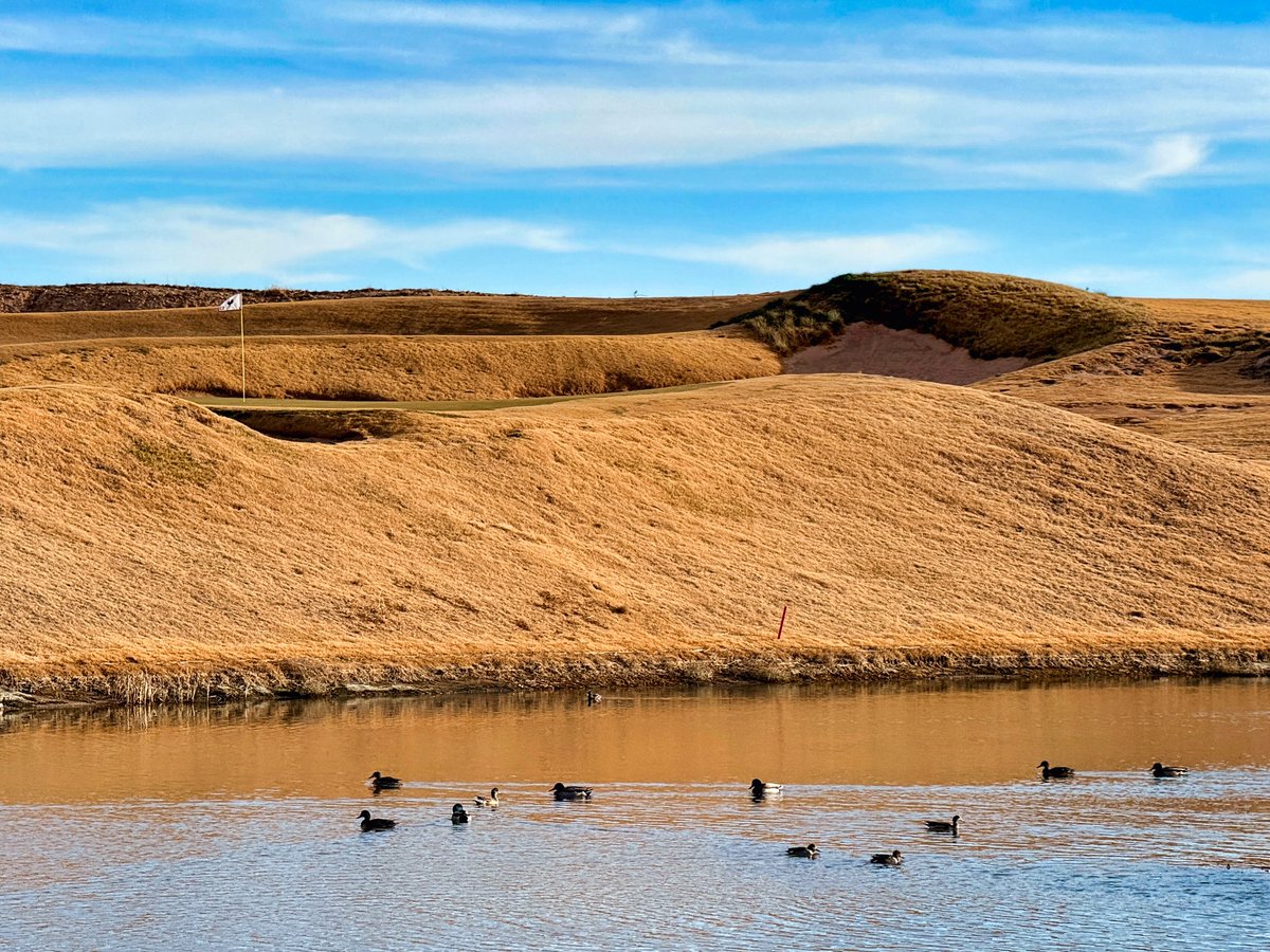 Trey Kemp tweet media