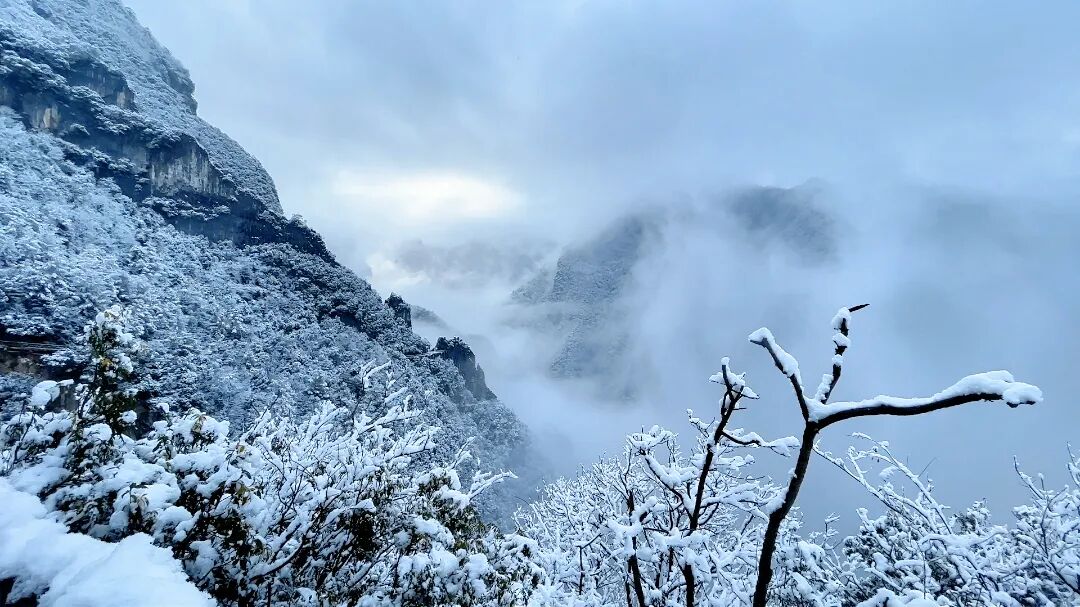 ChongqingFuling's tweet image. ❄️A winter start in Wuling Mountain Grand Rift Valley.
Walk across the suspension bridge as snow falls and clouds flow below - a full winter experience waiting to be explored. 🌫️🏔️#Fuling #Chongqing