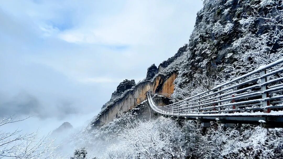 ChongqingFuling's tweet image. ❄️A winter start in Wuling Mountain Grand Rift Valley.
Walk across the suspension bridge as snow falls and clouds flow below - a full winter experience waiting to be explored. 🌫️🏔️#Fuling #Chongqing