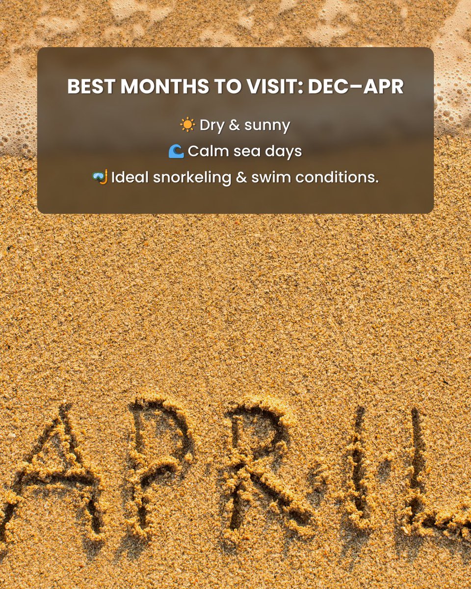 OneAir AI: Book Unbeatable Hotel and Flight Deals tweet media