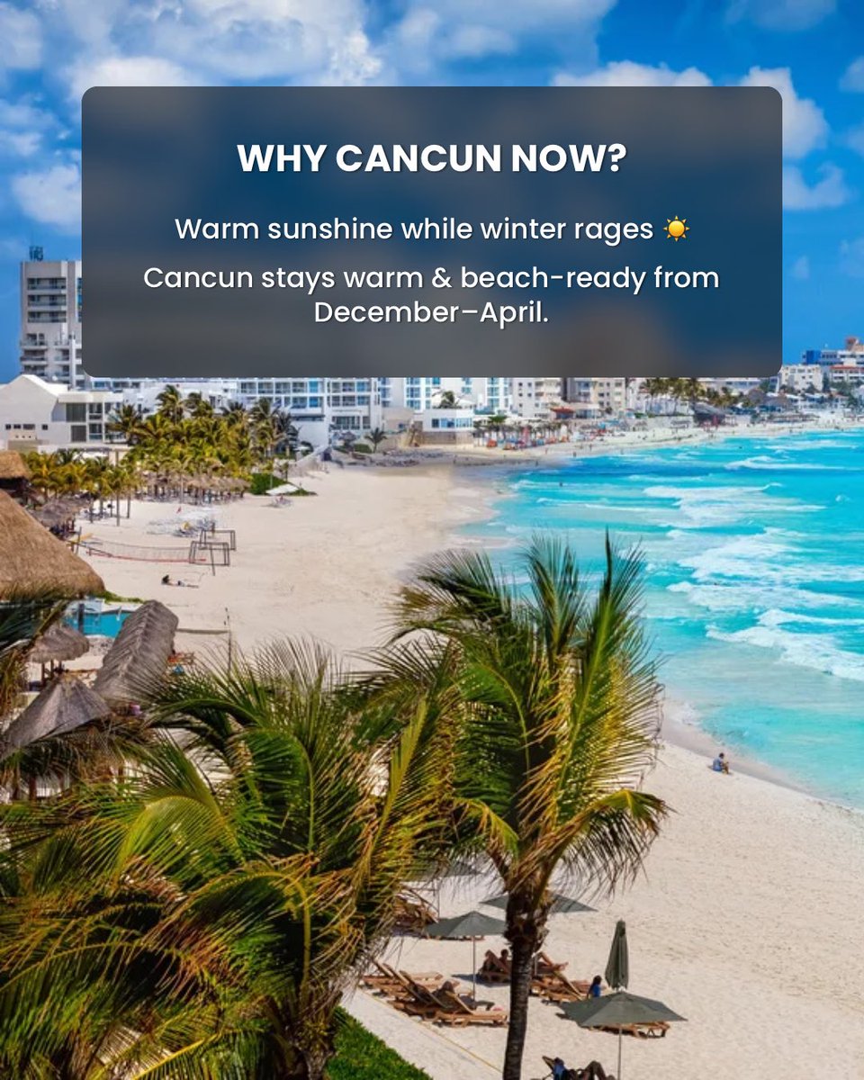 OneAir AI: Book Unbeatable Hotel and Flight Deals tweet media
