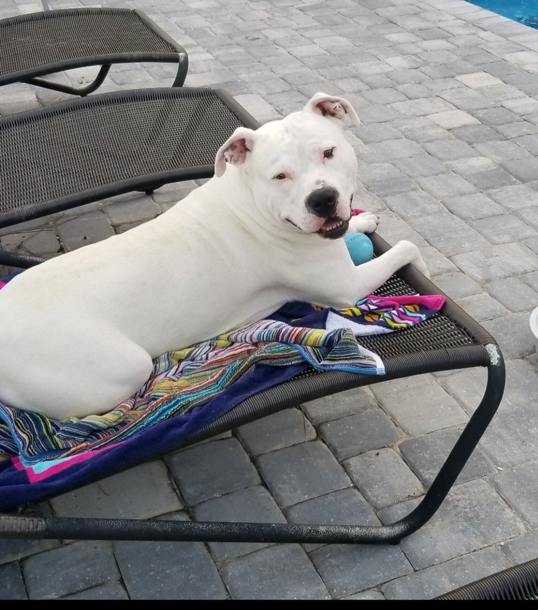 OceanDrive tweet media